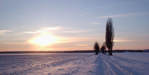 Сельский рассвет зимой